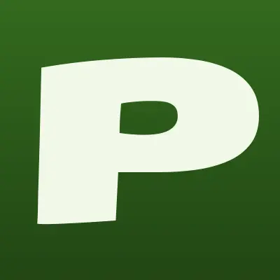 PitSinaNails, лого-визитка